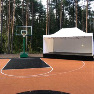 Lavaseelik - Image 7